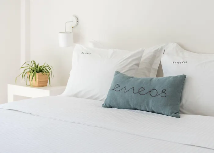 Eneos Villas-elegant And Comfort *