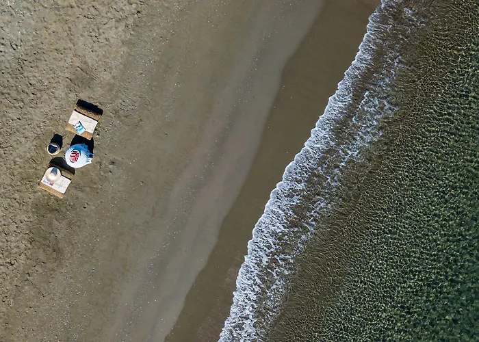 Eneos Villas-elegant And Comfort Villa *